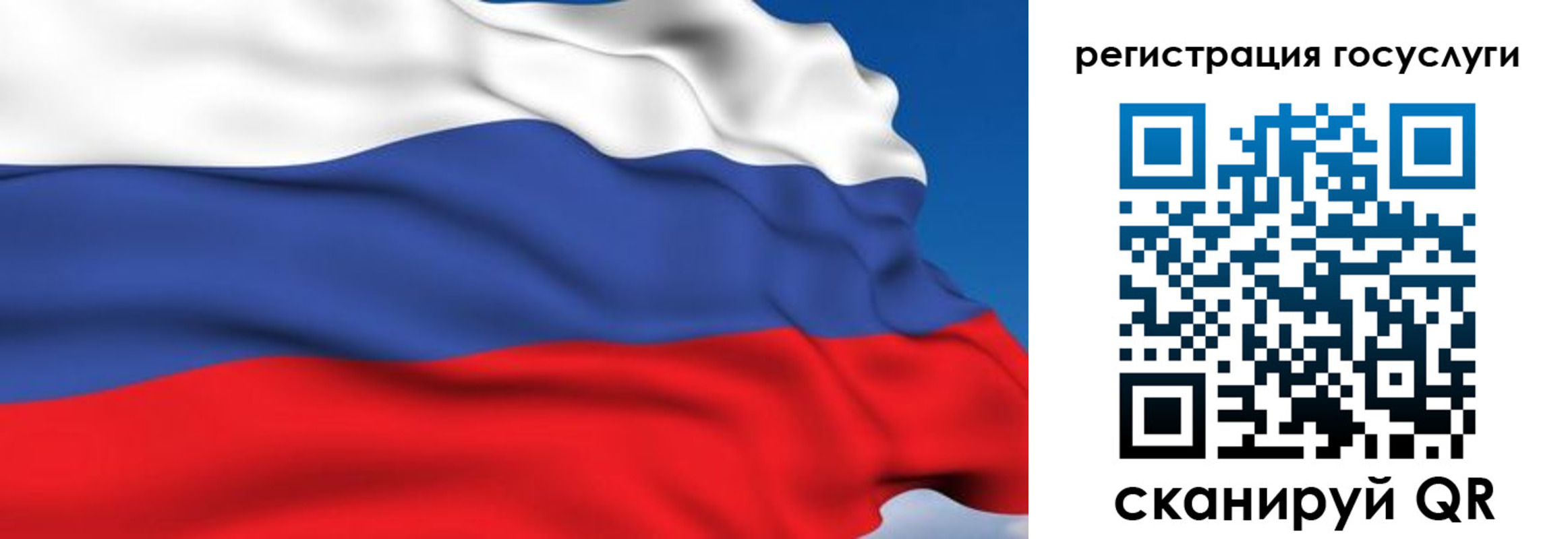 где прописаться в Покрове